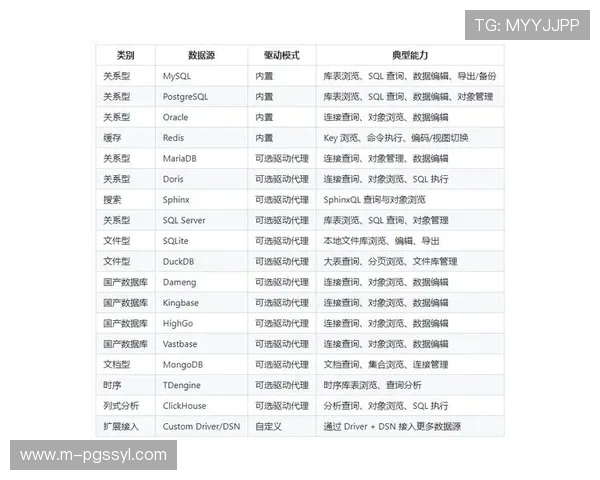 探索PG数据库官网提供的丰富插件与扩展功能，提升数据库性能与扩展能力