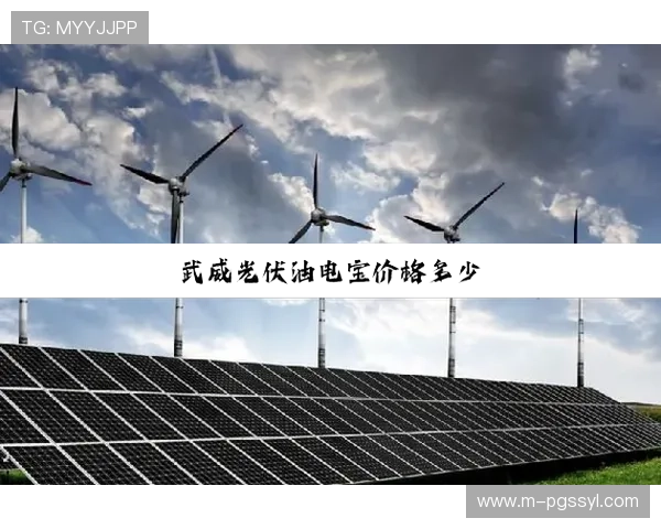 详细介绍PG电子体育星空的赛事组织流程与赛事公平性保障措施